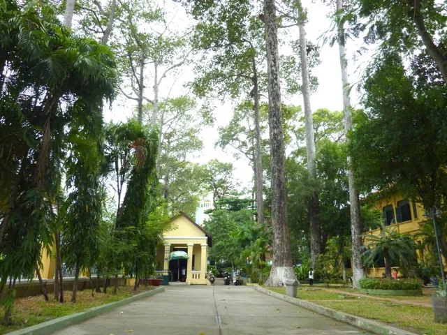 THCS Hồng Bàng – Di tích kiến trúc nghệ thuật của TP ảnh 4