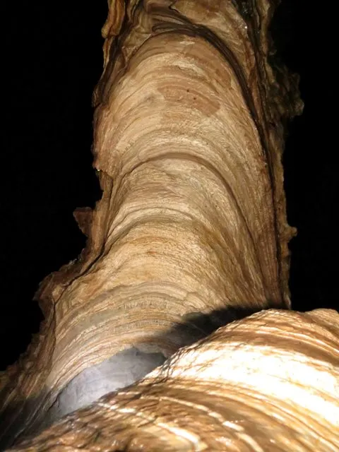 Bí ẩn những hình thù kỳ bí trong hang Phong Nha ảnh 9