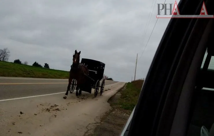 Cuộc sống ‘lập dị’ của người Amish ảnh 2
