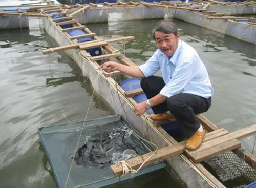 su-tai-xuat-cua-nhung-dai-gia-tung-linh-an-tu-hinh