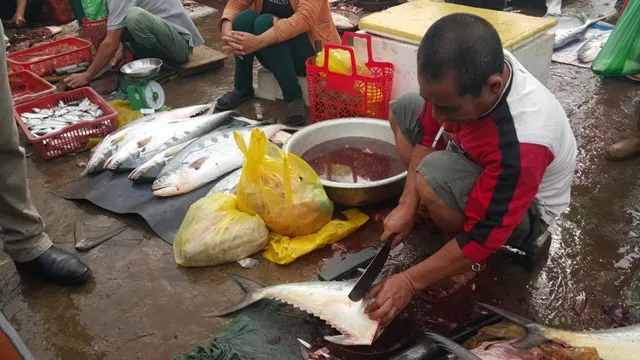 Dân ùn ùn đổ ra chợ vì ngư dân trúng đậm cá bẹ xước ảnh 4 Dân ùn ùn đổ ra chợ vì ngư dân trúng đậm cá bẹ xước ảnh 4