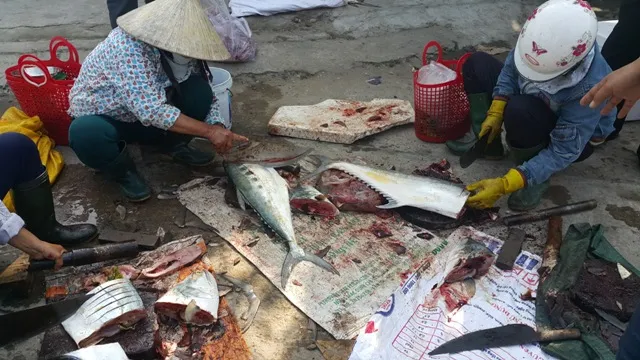 Dân ùn ùn đổ ra chợ vì ngư dân trúng đậm cá bẹ xước ảnh 7 Dân ùn ùn đổ ra chợ vì ngư dân trúng đậm cá bẹ xước ảnh 7