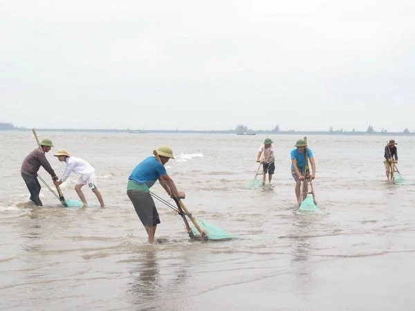 Xử lý nghiêm việc đưa tin bịa đặt về hải sản chết ở Cồn Vành ảnh 1