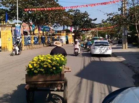 Chùm ảnh: Miền Trung muôn nẻo đường xuân ảnh 5