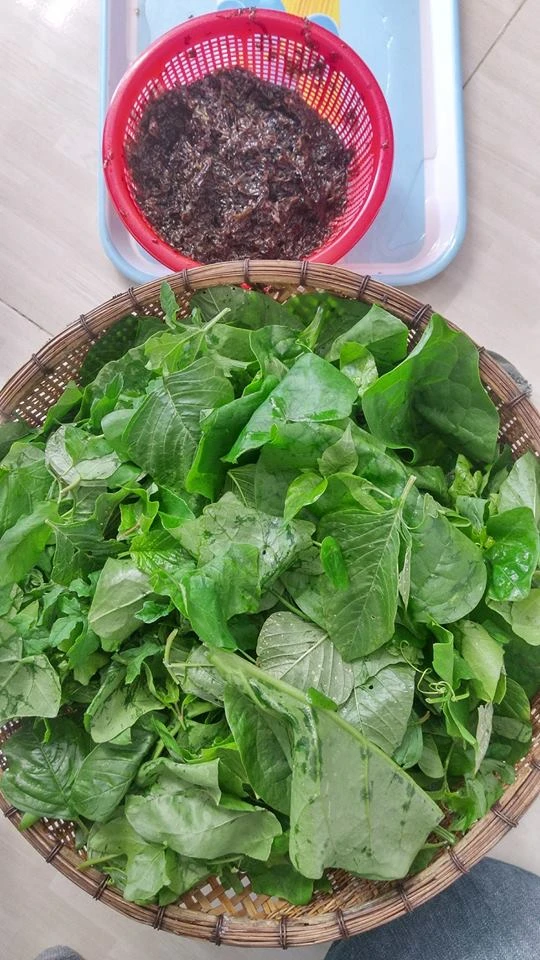 Đất hoang, rong biển và cá nhái ảnh 1