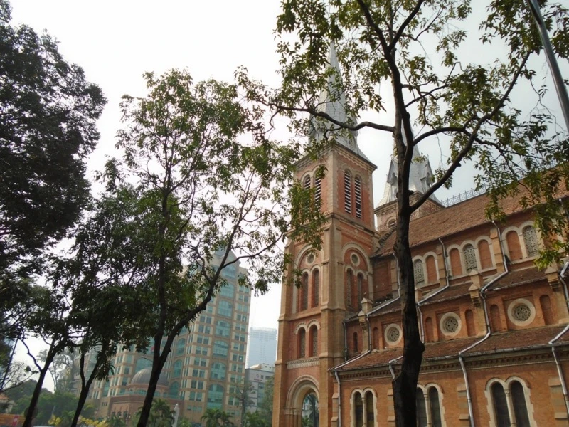 Bức ảnh đoạt giải nhì của nhiếp ảnh gia nhí Lương Gia Vinh