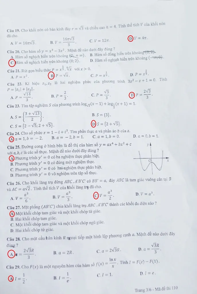 Đề thi, bài giải gợi ý các mã đề môn Toán ảnh 11