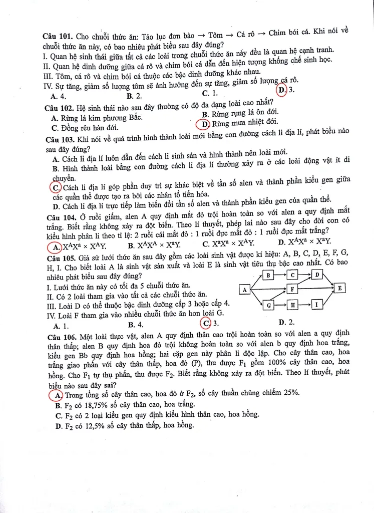 Đề thi, gợi ý bài giải môn Sinh học ảnh 6
