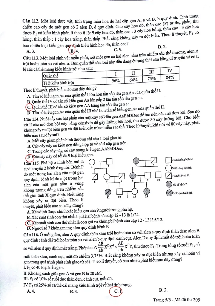 Đề thi, gợi ý bài giải môn Sinh học ảnh 8