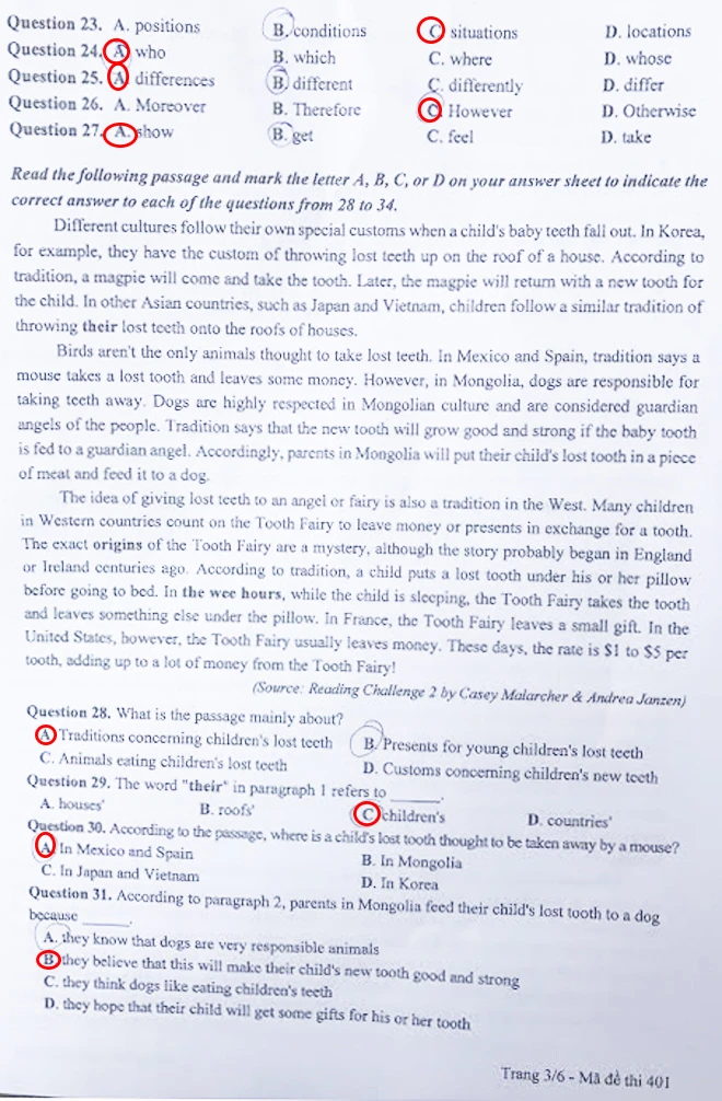 Đáp án, gợi ý bài giải các mã đề môn thi tiếng Anh ảnh 13 Đáp án, gợi ý bài giải các mã đề môn thi tiếng Anh ảnh 13