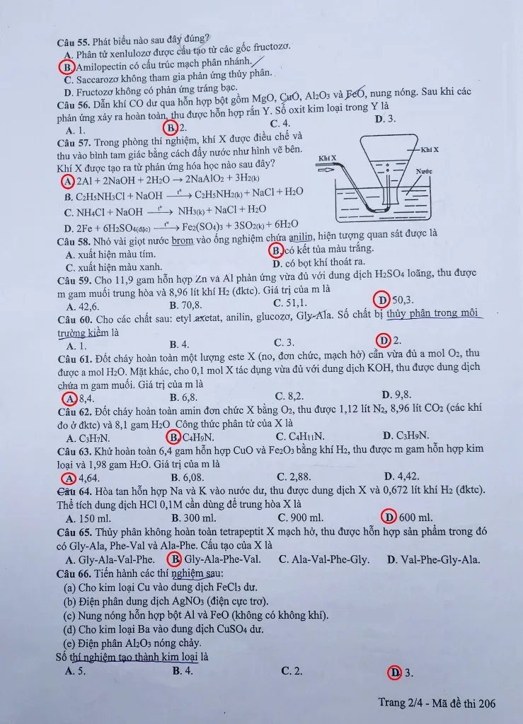 Đề thi, gợi ý bài giải các mã đề môn Hóa học ảnh 5