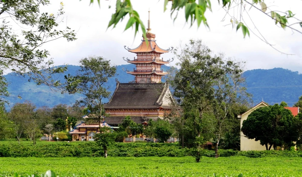 Con đường thôn với hàng thông cổ 100 tuổi đẹp ngất ngây ảnh 4