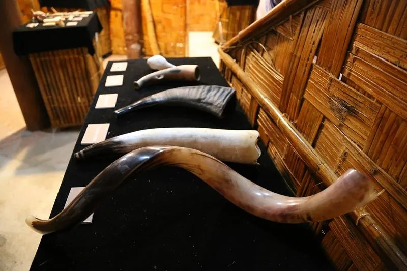 Tới Đắk Nông ngắm kèn thổi thần chết Aztec của người Maya ảnh 16