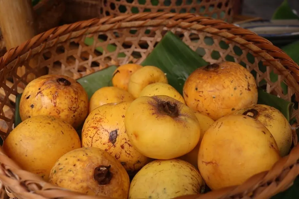 Rộn ràng 'hội làng' giữa phố Sài Gòn ảnh 7 Rộn ràng 'hội làng' giữa phố Sài Gòn ảnh 7