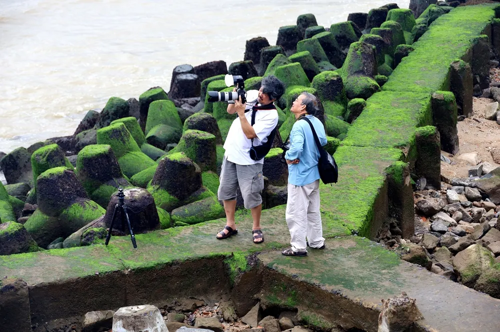 Ngắm rêu mướt xanh kỳ thú trên biển Nha Trang ảnh 8 Ngắm rêu mướt xanh kỳ thú trên biển Nha Trang ảnh 8
