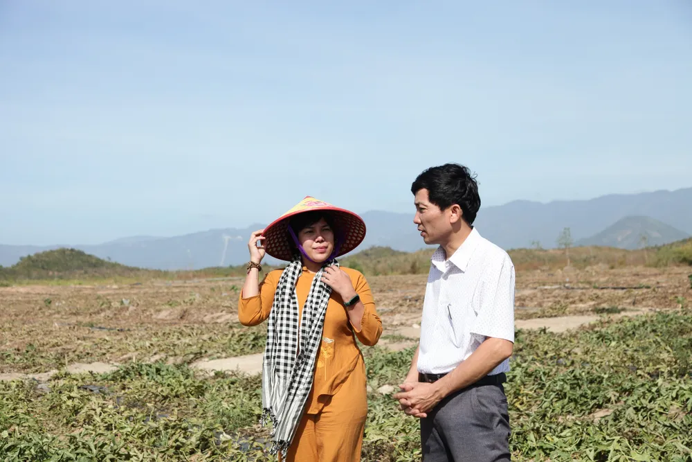 Nước mắt dưa hấu mùa Tết ảnh 2