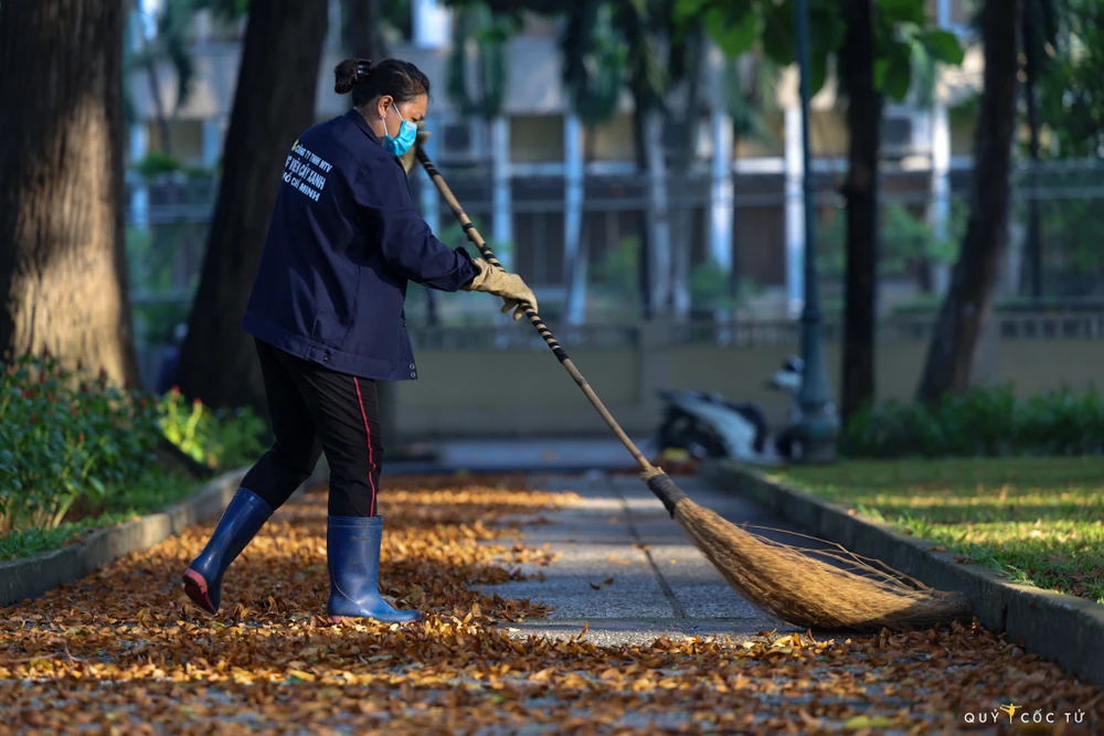 Sài Gòn nhung nhớ những mùa dầu xoay ảnh 4