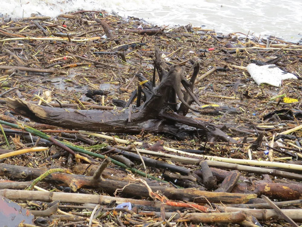 Hàng trăm đoàn viên công an, biên phòng... làm đẹp bờ biển Nha Trang ảnh 1