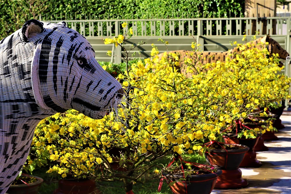 Điểm du xuân đậm đà bản sắc dân tộc ảnh 2