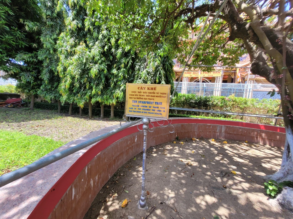 Cây khế, do cụ bà Nguyễn Thông trồng cách đây hơn 100 năm. Thời gian dạy học tại Trường Dục Thanh thầy giáo Nguyễn Tất Thành thường chăm sóc và tưới nước cho cây khế này.