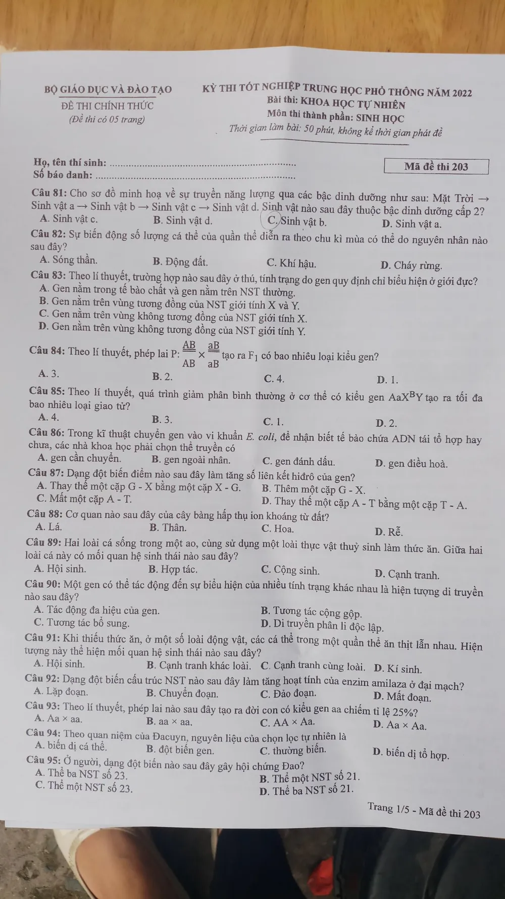 Cập nhật đề thi môn tổ hợp Khoa học tự nhiên ảnh 5