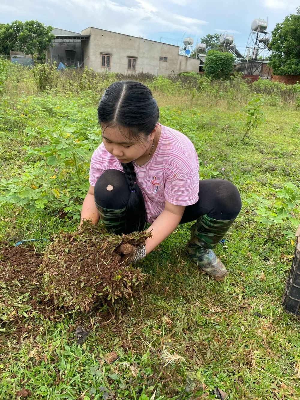 Bé Gia Nhi đang bê các mảng cỏ, đưa về bờ hồ, tạo mảng xanh cho vườn. Ảnh: Lê Quyên
