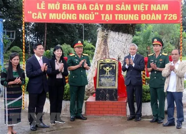 Lễ mở bia đá “Cây di sản Việt Nam” tại Trung đoàn 726. Ảnh: TTXVN