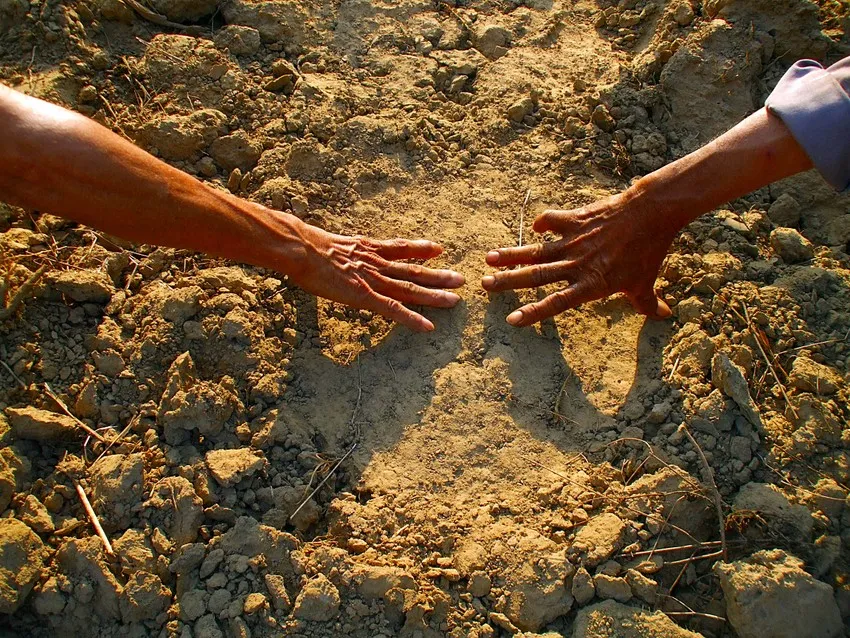 Voi ngà lệch có dấu chân rất to. Ảnh PN