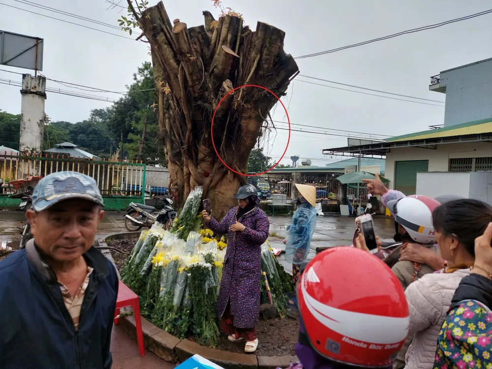 Nhiều người đến chụp ảnh, đăng tải lên mạng xã hội