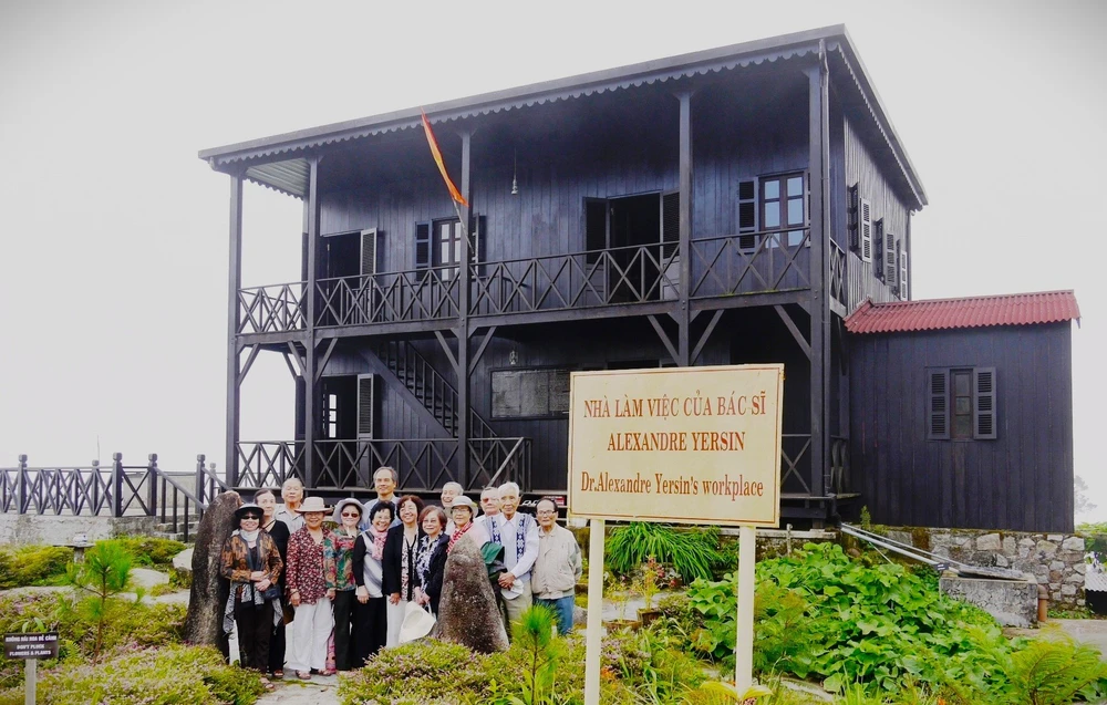 cay tra tren dinh hon ba 1.jpg