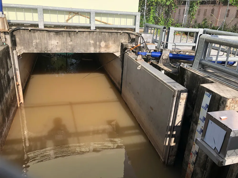 cống ngăn triều