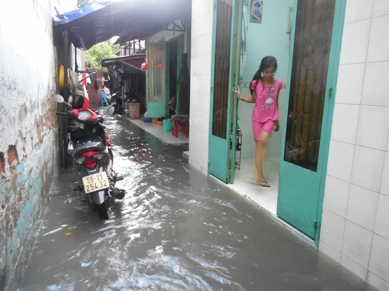 Mưa chỉ 5 phút, cả con hẻm chìm trong biển nước ảnh 5