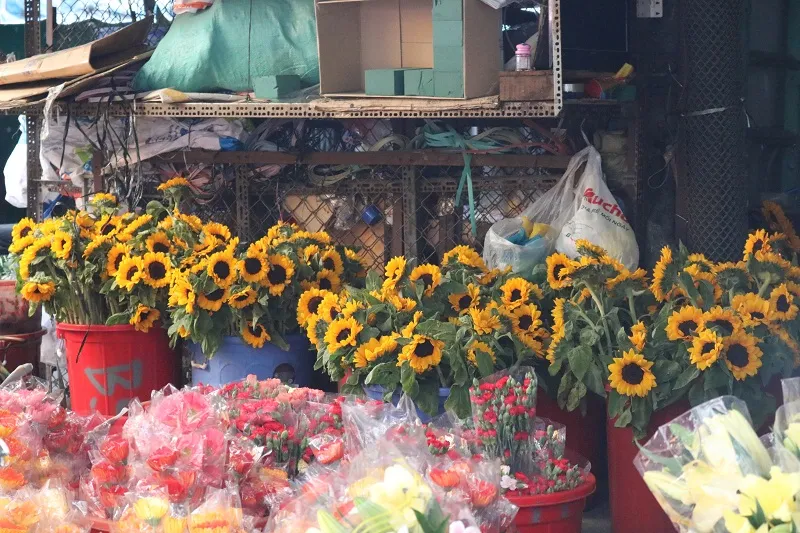 Chợ hoa Hồ Thị Kỷ 