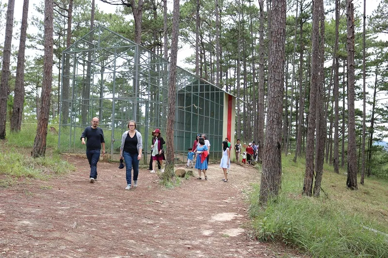 Check in Đà Lạt, ghé Zoo Doo chơi cùng kangaroo ảnh 12 Check in Đà Lạt, ghé Zoo Doo chơi cùng kangaroo ảnh 12