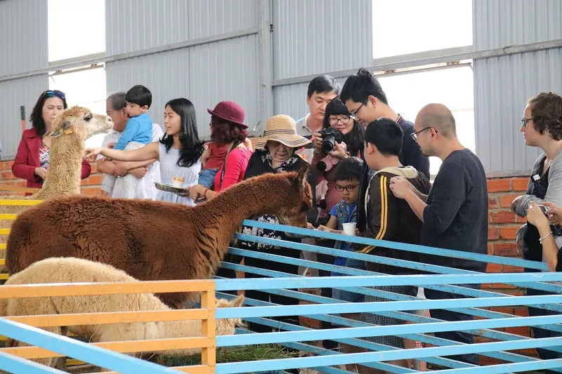 Check in Đà Lạt, ghé Zoo Doo chơi cùng kangaroo ảnh 2 Check in Đà Lạt, ghé Zoo Doo chơi cùng kangaroo ảnh 2