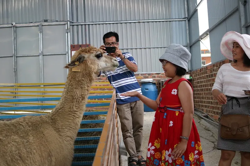 Check in Đà Lạt, ghé Zoo Doo chơi cùng kangaroo ảnh 6 Check in Đà Lạt, ghé Zoo Doo chơi cùng kangaroo ảnh 6