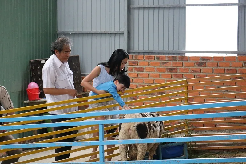 Check in Đà Lạt, ghé Zoo Doo chơi cùng kangaroo ảnh 7 Check in Đà Lạt, ghé Zoo Doo chơi cùng kangaroo ảnh 7