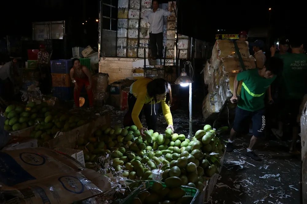 Cuối năm là dịp cao độ của các khu chợ đầu mối, lượng hàng nhập về lớn nên các tiểu thương làm việc không chút ngơi nghỉ.