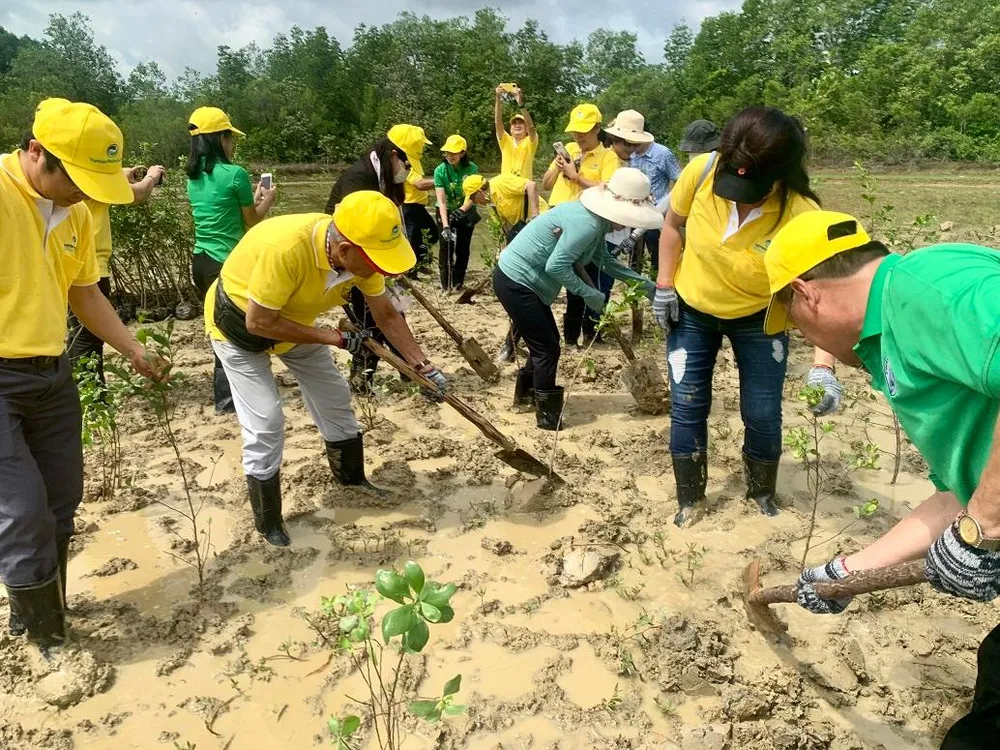 Người VN ở nước ngoài đã tham gia đóng góp số lượng hơn 500 cây cóc trắng. Ảnh: NVCC