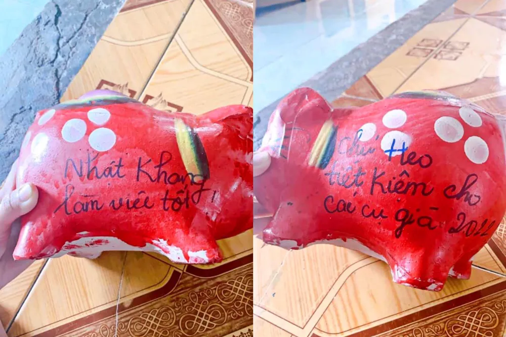 Cậu bé 6 tuổi Nhật Khang nuôi heo &quot;làm việc tốt&quot; từ khi 4 tuổi. Ảnh: NVCC