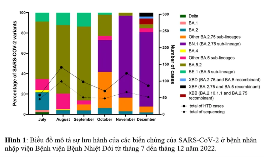 Biểu đồ mô tả sự lưu hành của các biến chủng SARS-CoV-2 ở bệnh nhân nhập viện BV Bệnh Nhiệt đới TP.HCM từ tháng 7 đến tháng 12-2022. Ảnh: BVCC