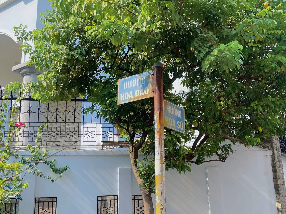 Đường Hoa Đào - Hoa Sứ nổi tiếng tại cụm đường có tên các loài hoa tại quận Phú Nhuận. Ảnh: THUỶ TÂM Đường Hoa Đào - Hoa Sứ nổi tiếng tại cụm đường có tên các loài hoa tại quận Phú Nhuận. Ảnh: THUỶ TÂM