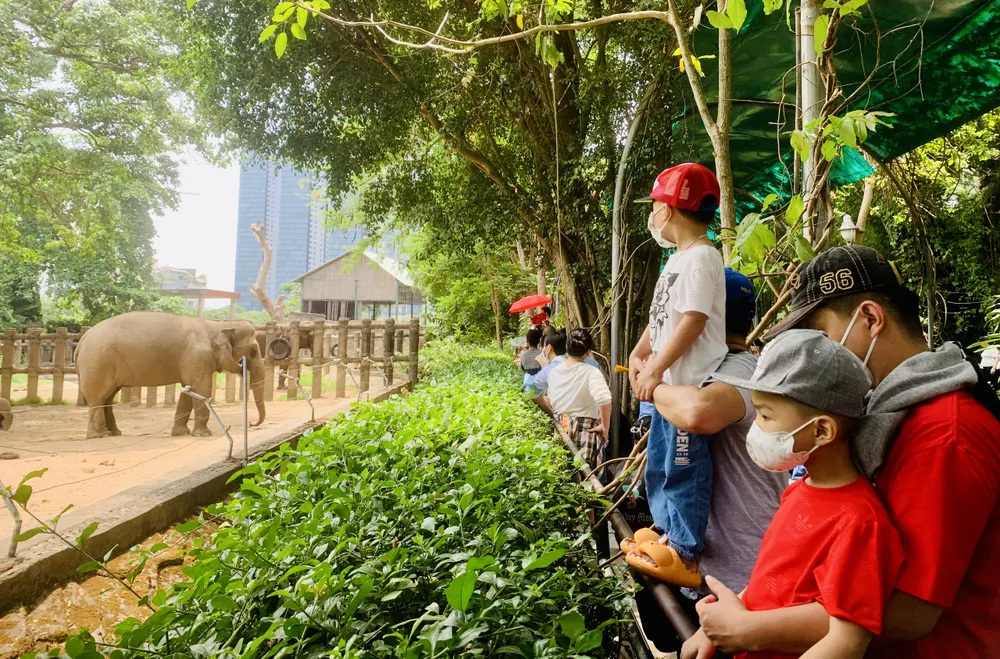 Ban đầu lượng khách còn ít, sau đó đông dần khi trời về trưa. Ảnh: THẢO PHƯƠNG