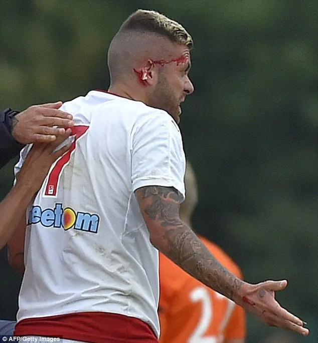 Và mảnh tai của anh bị mất đi