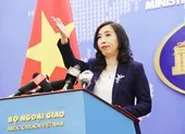 Việt Nam đưa 100 công dân Anh về nước ảnh 2 Việt Nam sẵn sàng đưa công dân từ vùng dịch về nước