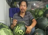Độc đáo dưa hấu khắc thư pháp nửa triệu đồng 1 trái