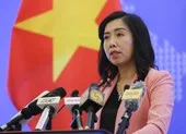 Việt Nam nói về thông tin bị gọi là quốc gia thao túng tiền tệ ảnh 1 Bộ Ngoại giao nói về tin Mỹ cho rằng VN ‘thao túng tiền tệ’