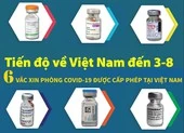 Chuyên gia kiều bào nói về vaccine ngừa COVID-19 ở nước ta ảnh 2 Tiến độ 6 loại vaccine Việt Nam cấp phép đã về được bao nhiêu?