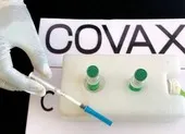 Mỹ đã tặng Việt Nam 15 triệu liều vaccine COVID-19 ảnh 1 Chương trình COVAX Facility dành ưu tiên phân bổ vaccine cho Việt Nam