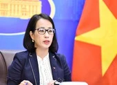 Việt Nam yêu cầu Đài Loan chấm dứt các hoạt động trái phép ở Trường Sa ảnh 1 Bộ Ngoại giao thông tin vụ tàu Iran thu giữ tàu chở dầu mang cờ Việt Nam